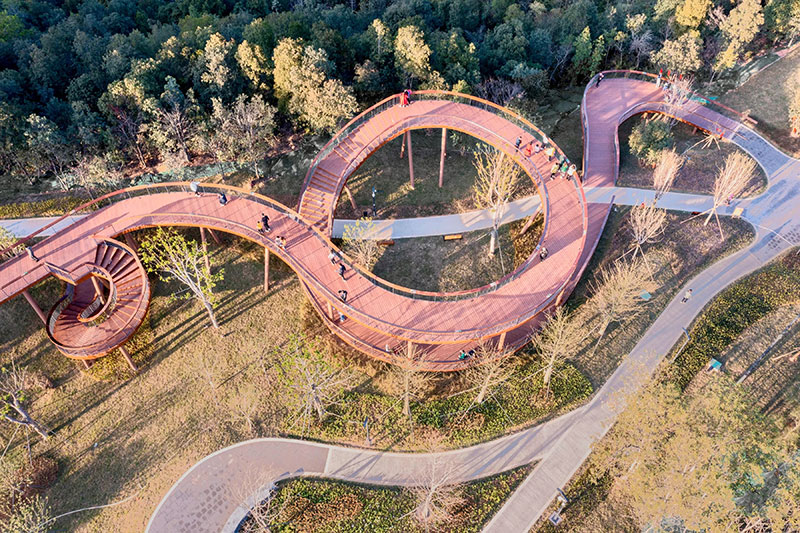 嶂背郊野公園竹木棧道