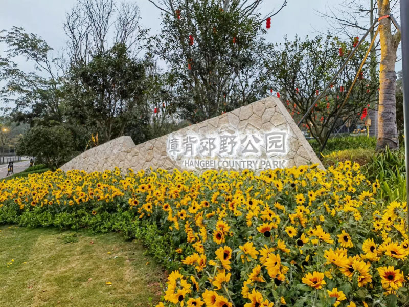 深圳郊野公園