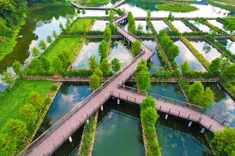 宜昌沙河濕地公園竹木棧道