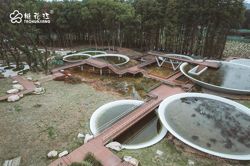 武漢東湖磨山荷園景區(qū)